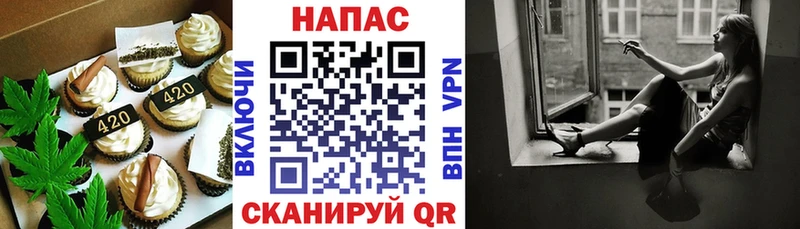 магазин продажи наркотиков  Светлогорск  Canna-Cookies марихуана 