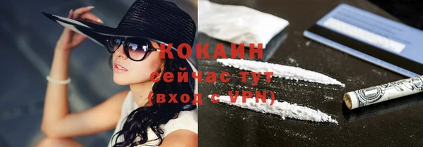 мдпв Пересвет