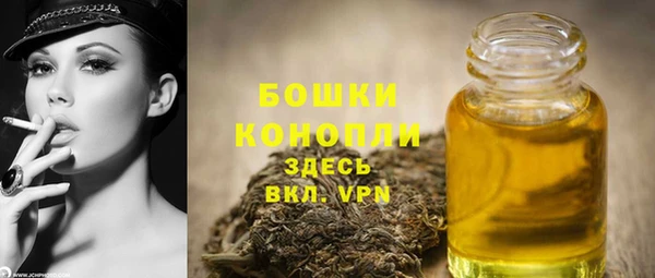 мдпв Пересвет