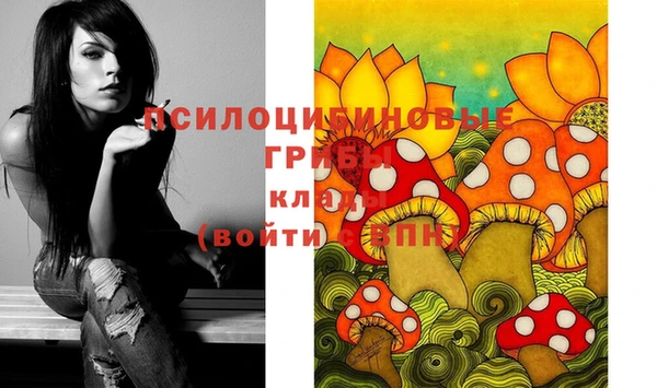 мдпв Пересвет