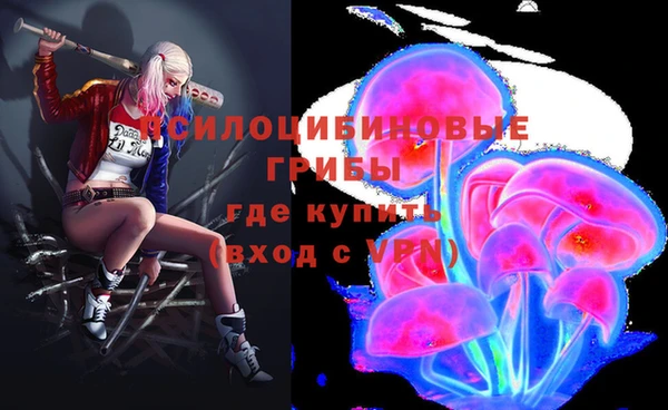 a pvp Заводоуковск
