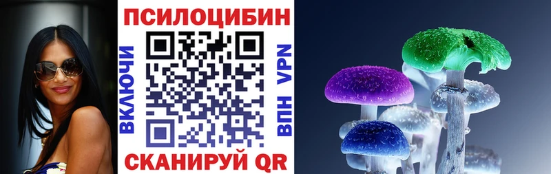 ссылка на мегу зеркало  как найти закладки  Светлогорск  Псилоцибиновые грибы Psilocybe 