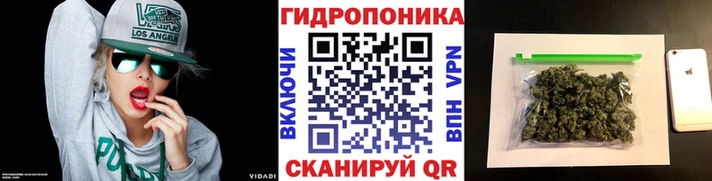 kraken ССЫЛКА  Светлогорск  Марихуана гибрид 